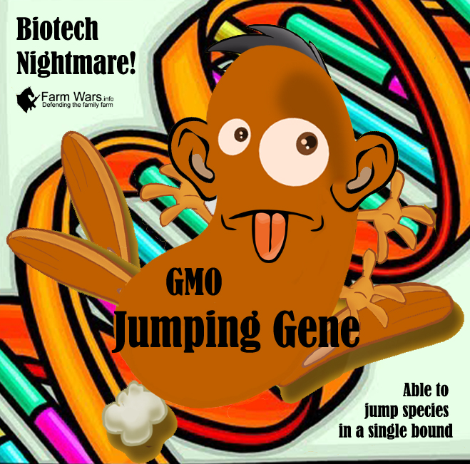 GMO Jumping Gene