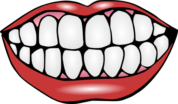 tooth clipart no background - photo #46