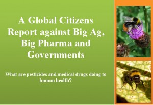 global citizen report