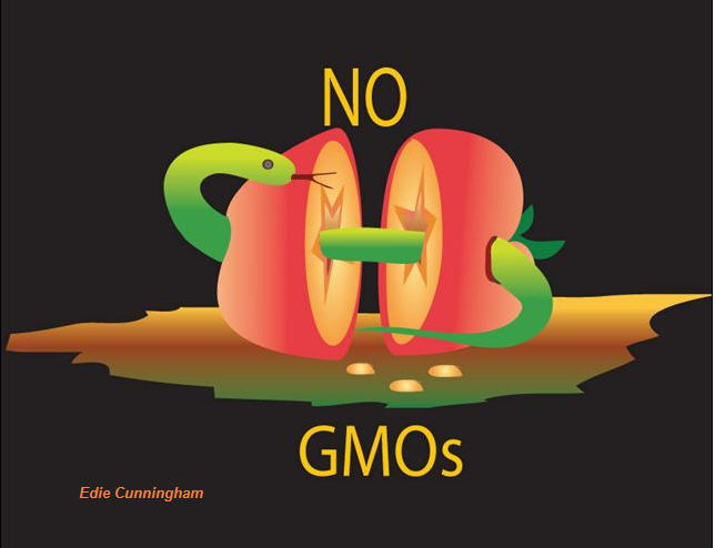 Edie No GMO