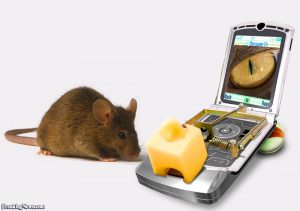 Cell-Phone-Mouse-Trap